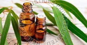 Cineole Oil