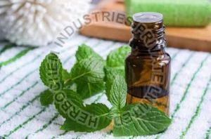 Mentha Arvensis Oil
