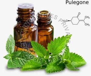 Pulegone Oil