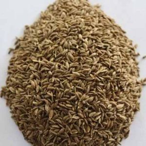 A Grade Dill Seed