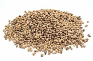 A Grade Dry White Pepper Seed
