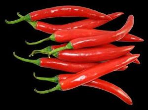 A Grade Fresh Red Paprica Chilli