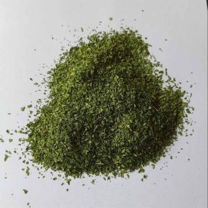 A Grade Holy Basil Leave