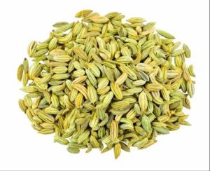 A Grade Organic Fennel Seed