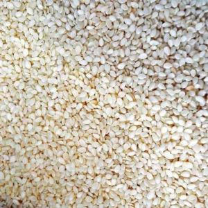 A Grade Organic White Sesame Seed