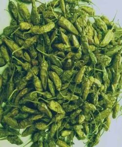 Dried Green Chilli
