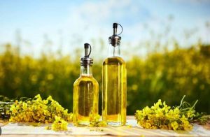 Refined Canola Oil