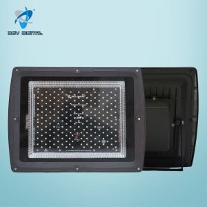 200W  Flood Light