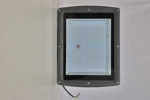 250W Flood Light