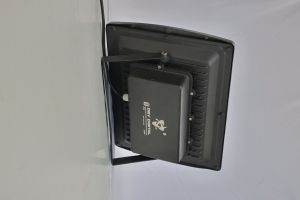 250W Flood Light