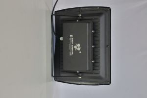 250W Flood Light