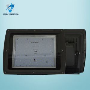 250W Flood Light