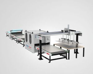 Valgro Sheet Grinding Polishing Machine