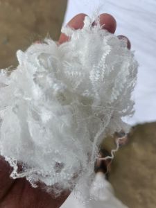 Polyester Staple Fibre