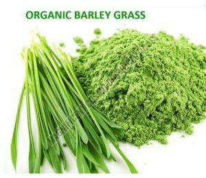 Barley Grass Powder