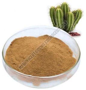 Brown Cactus Powder Extract