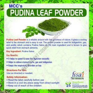 Mint Leaves Powder