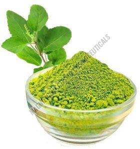 Tulsi Leaves Powder