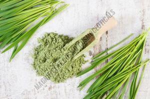 Wheat Grass Powder