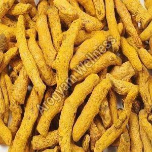 A Grade Organic Turmeric Finger