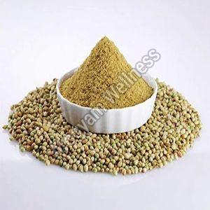 Organic Coriander Powder