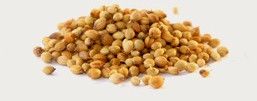 Coriander Seeds