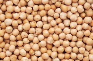 Chickpea Seeds