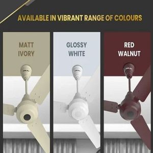 Bajaj Energos 26 BLDC Ceiling Fan