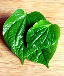 Calcutta Spicy Betel Leaf