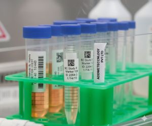 Pharmaceutical Labels