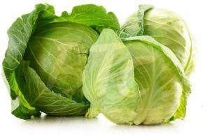 Fresh Green Cabbage