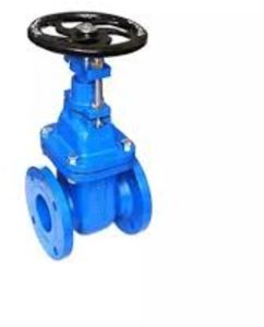 Cast Iron Gate Valve