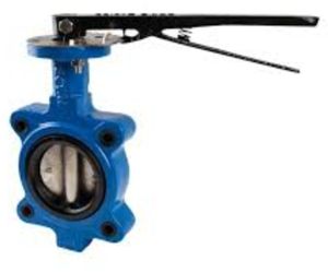 Ductile Iron Butterfly Valve