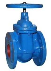 Cast Iron Gate Valve