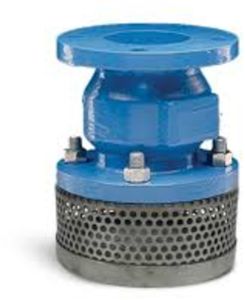 Ductile Foot Valve