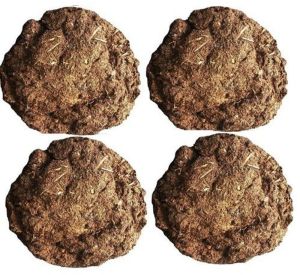 Organic Cow Dung Cake