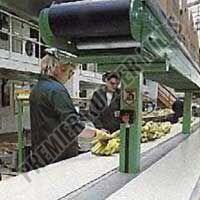 Hygienic Conveyor Belts
