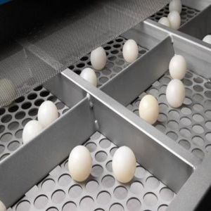 Plansifter Rubber Balls