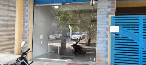 Frameless Glass Door