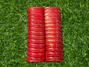 Dyed Red Impala Jigged Scales