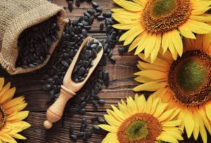 Sunflower Seed