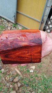 Red Sandalwood Logs