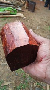 Red Sandalwood Logs