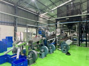 Cashew Scooping Machine