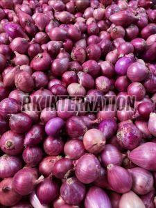 Fresh Red Onion