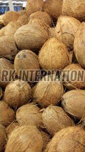 Semi Husked Coconut