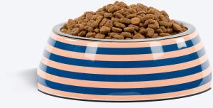 Printed Stainless Steel Plastic Dog Bowl