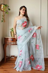 Hand Painted Organza Silk Saree