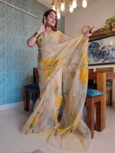 Hand Painted Organza Silk Saree