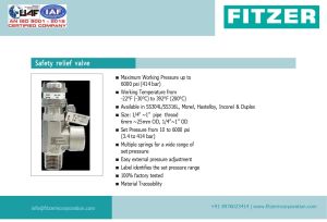 High Pressure Safety Valve